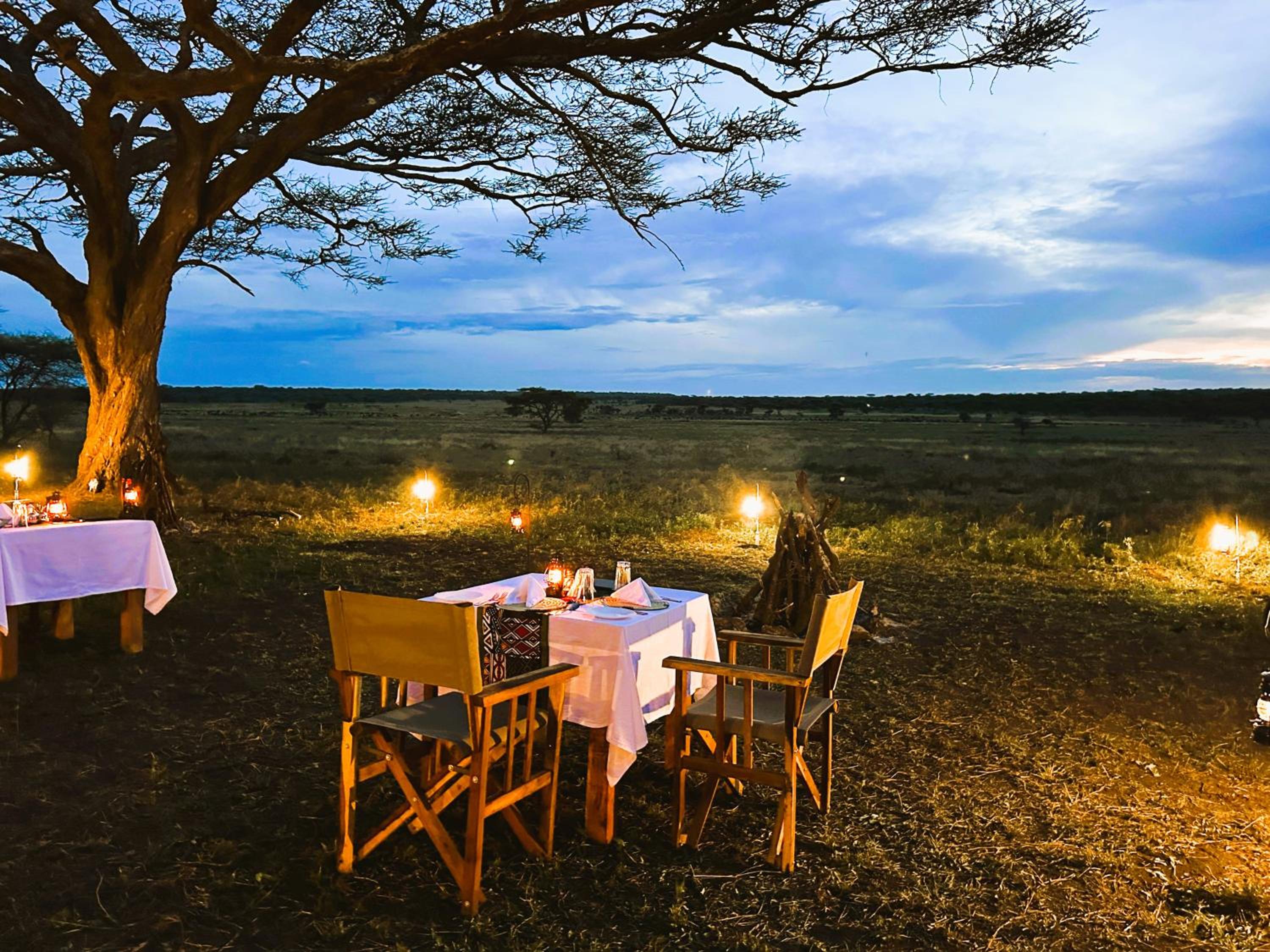 Africa Safari Serengeti Kusini