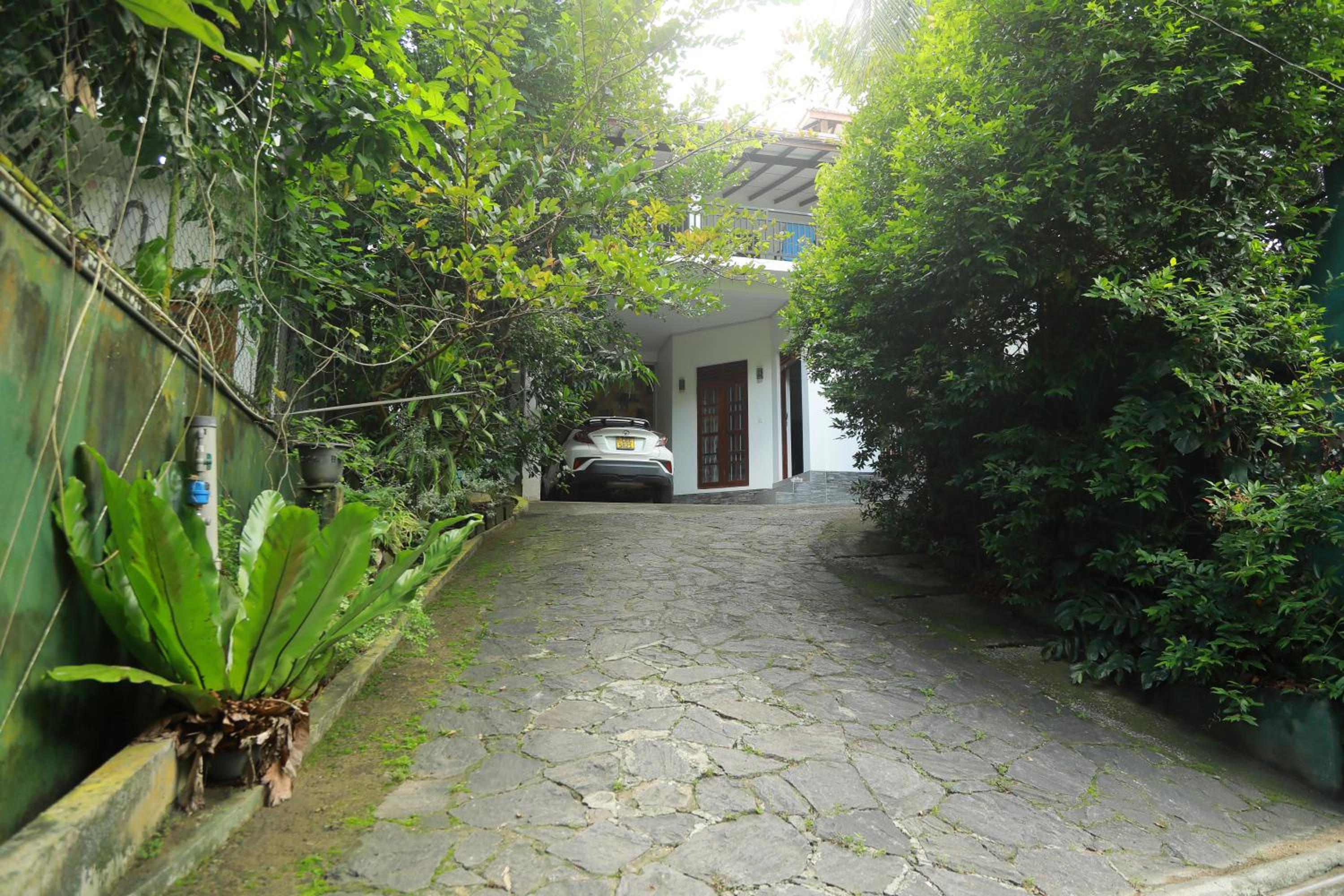 Photo 43