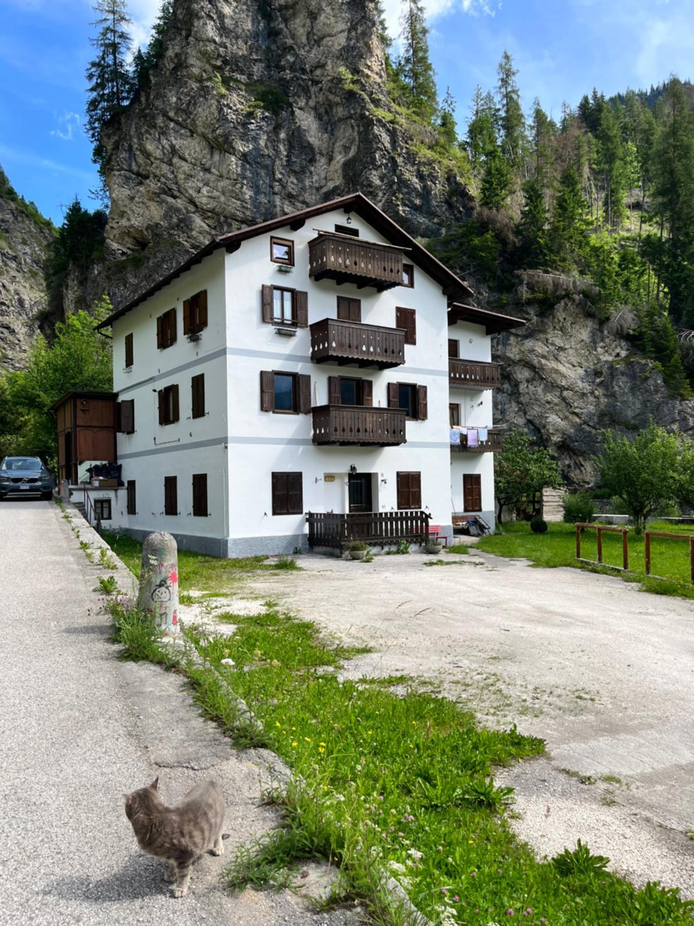 Photo 48