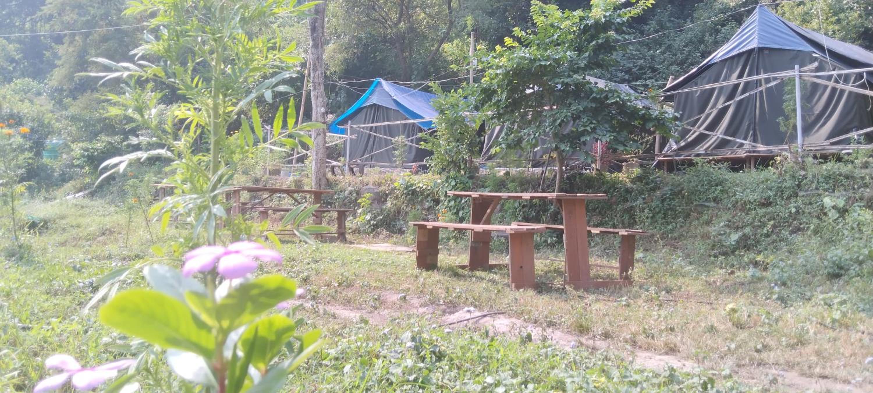 Namaste Pahadi Cafe and Camps view 5