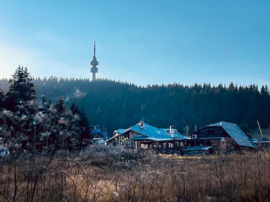 Studio Béni