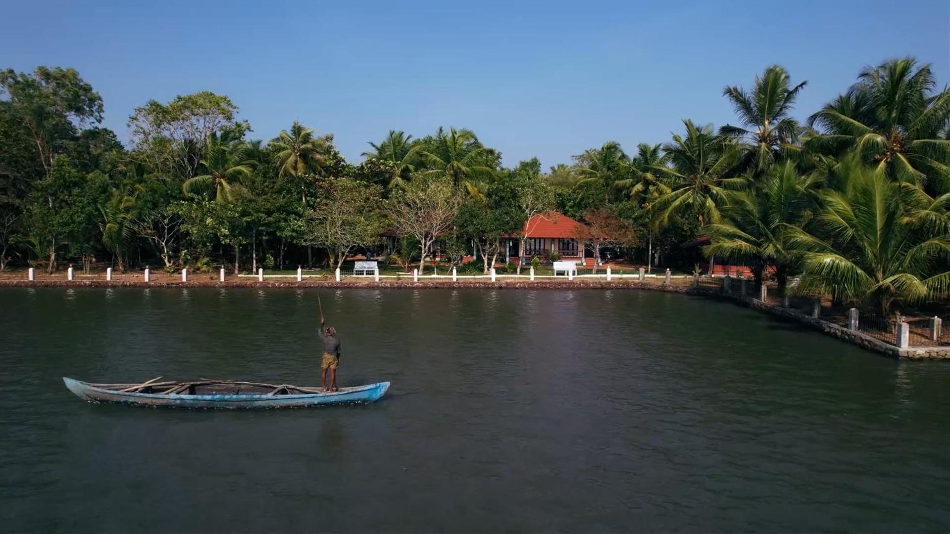 Dhathri Ayurveda Resort view 2