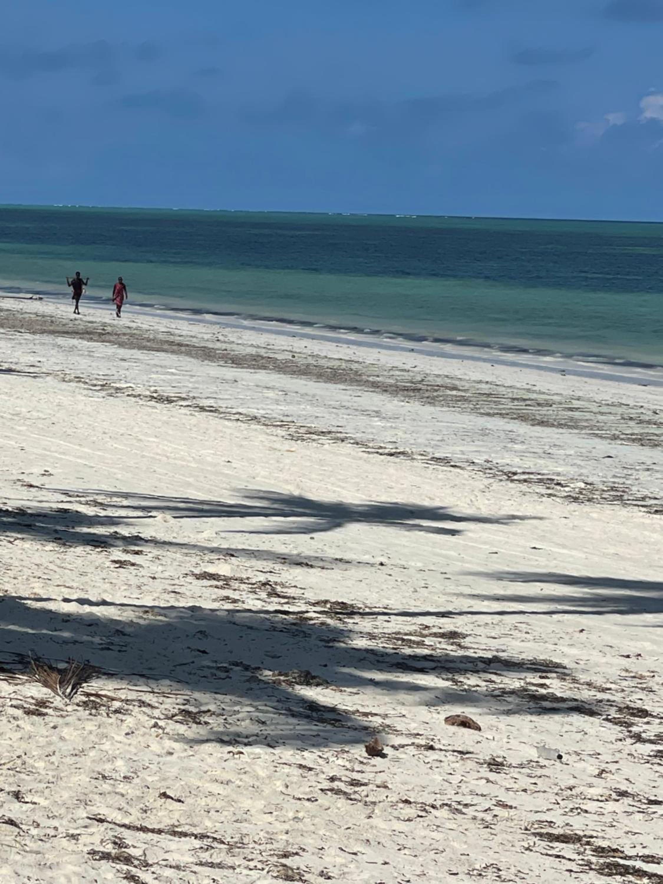 Zanzibar Beach Escape