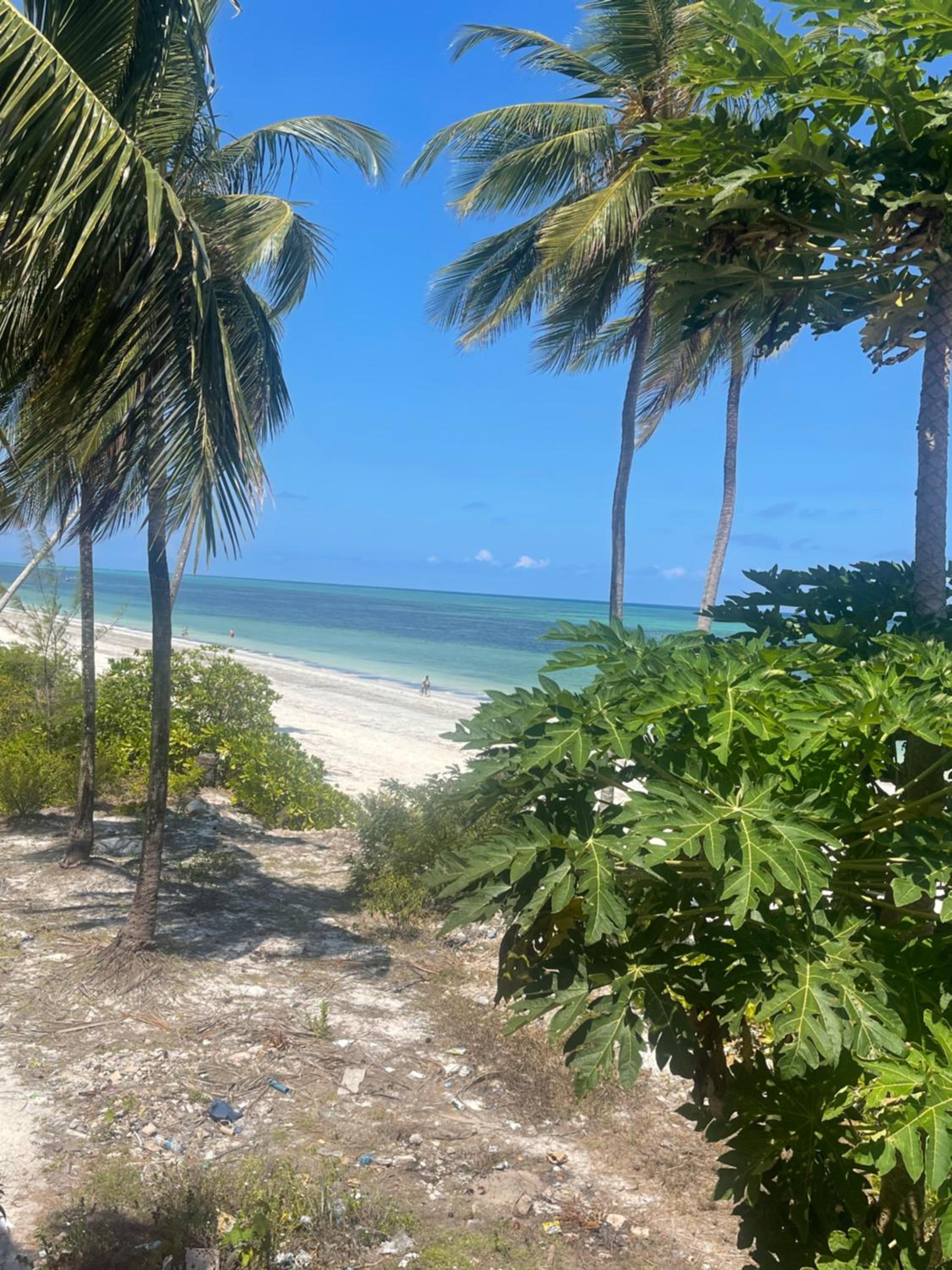 Zanzibar Beach Escape