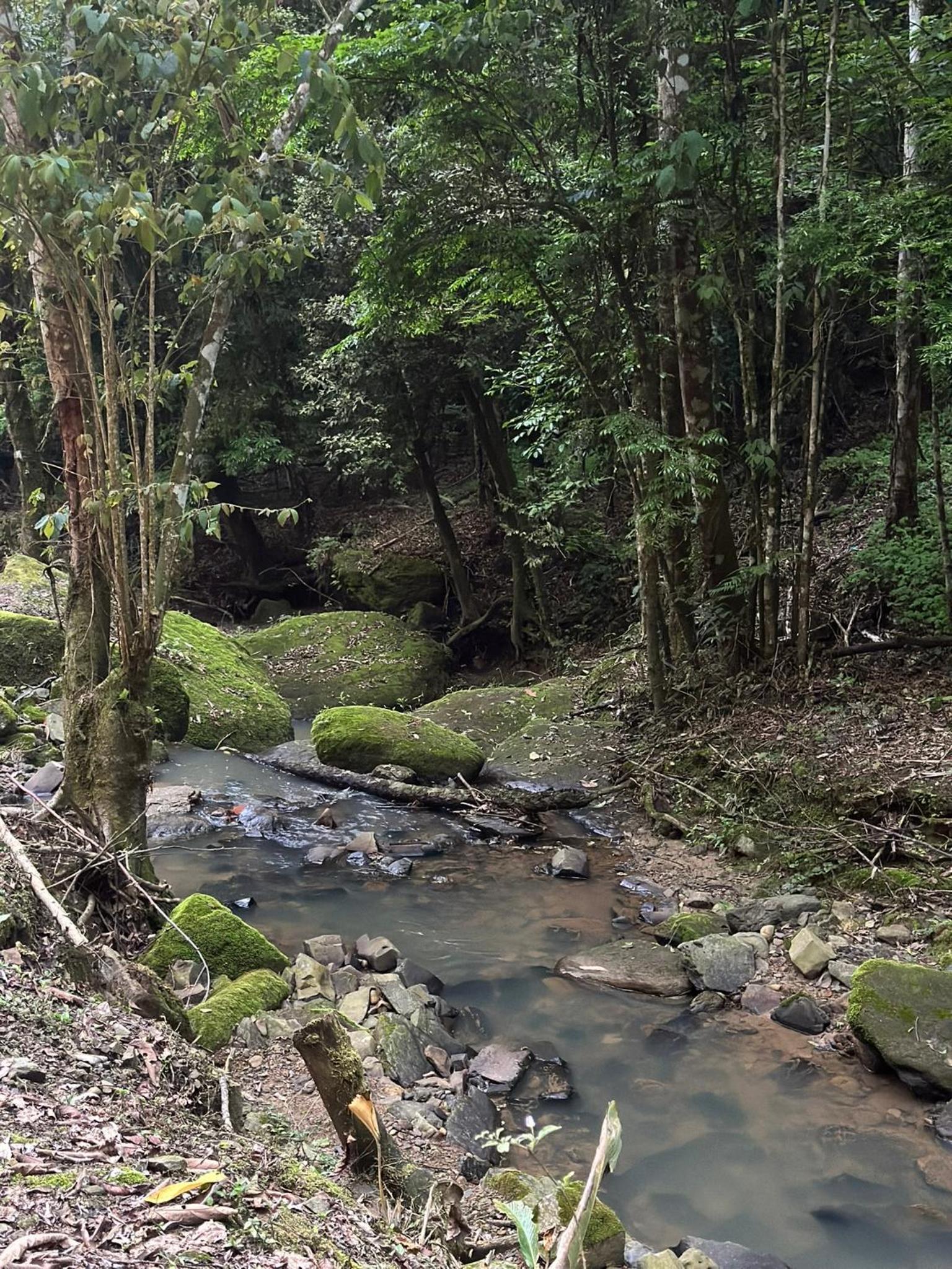 Chalé com Cachoeira