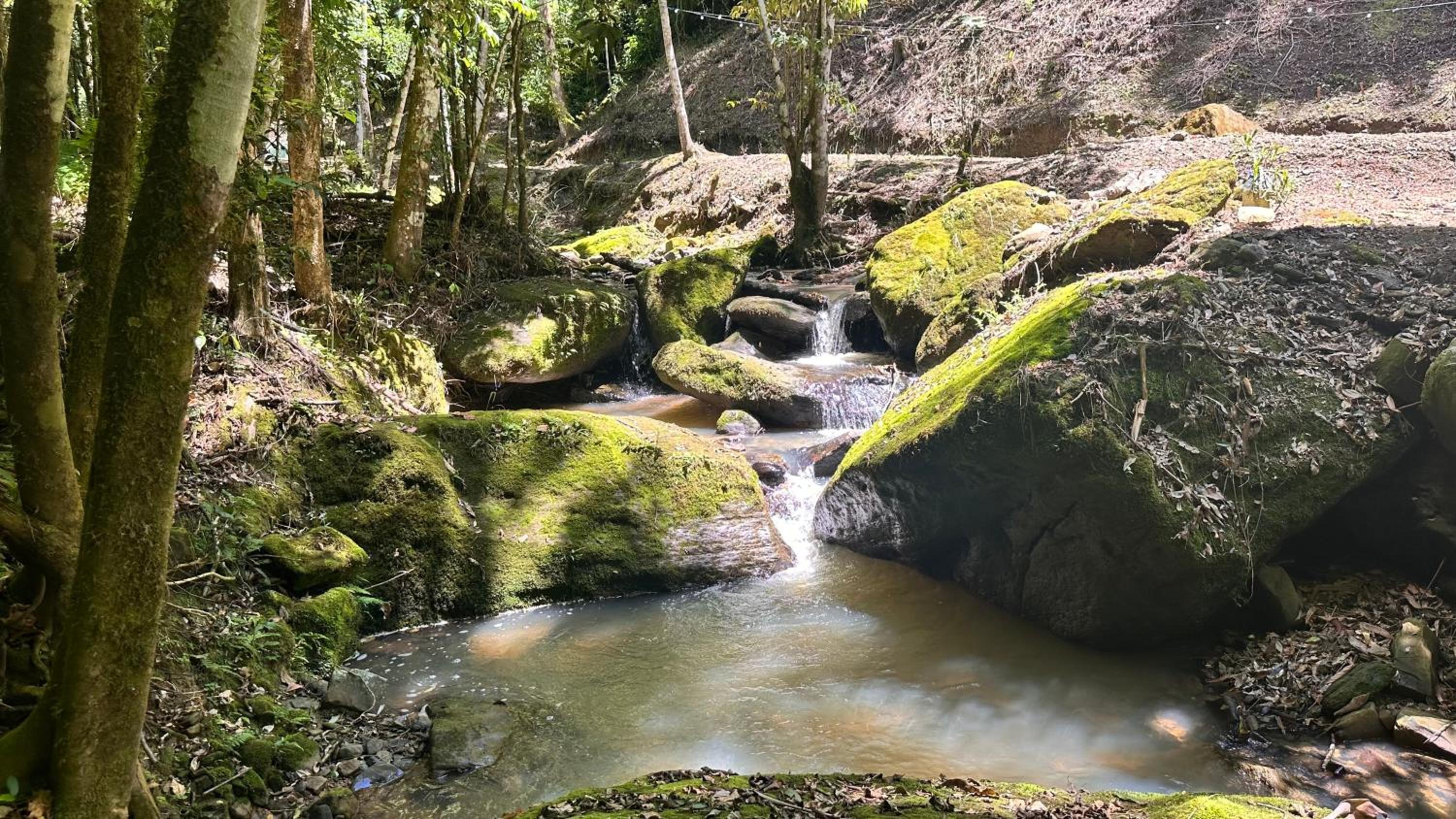 Chalé com Cachoeira