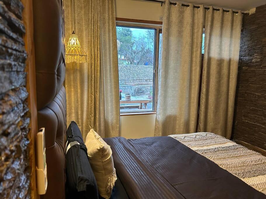 The Cabin Dharamshala