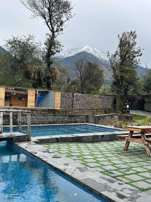 The Cabin Dharamshala