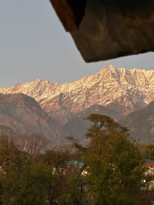 The Cabin Dharamshala