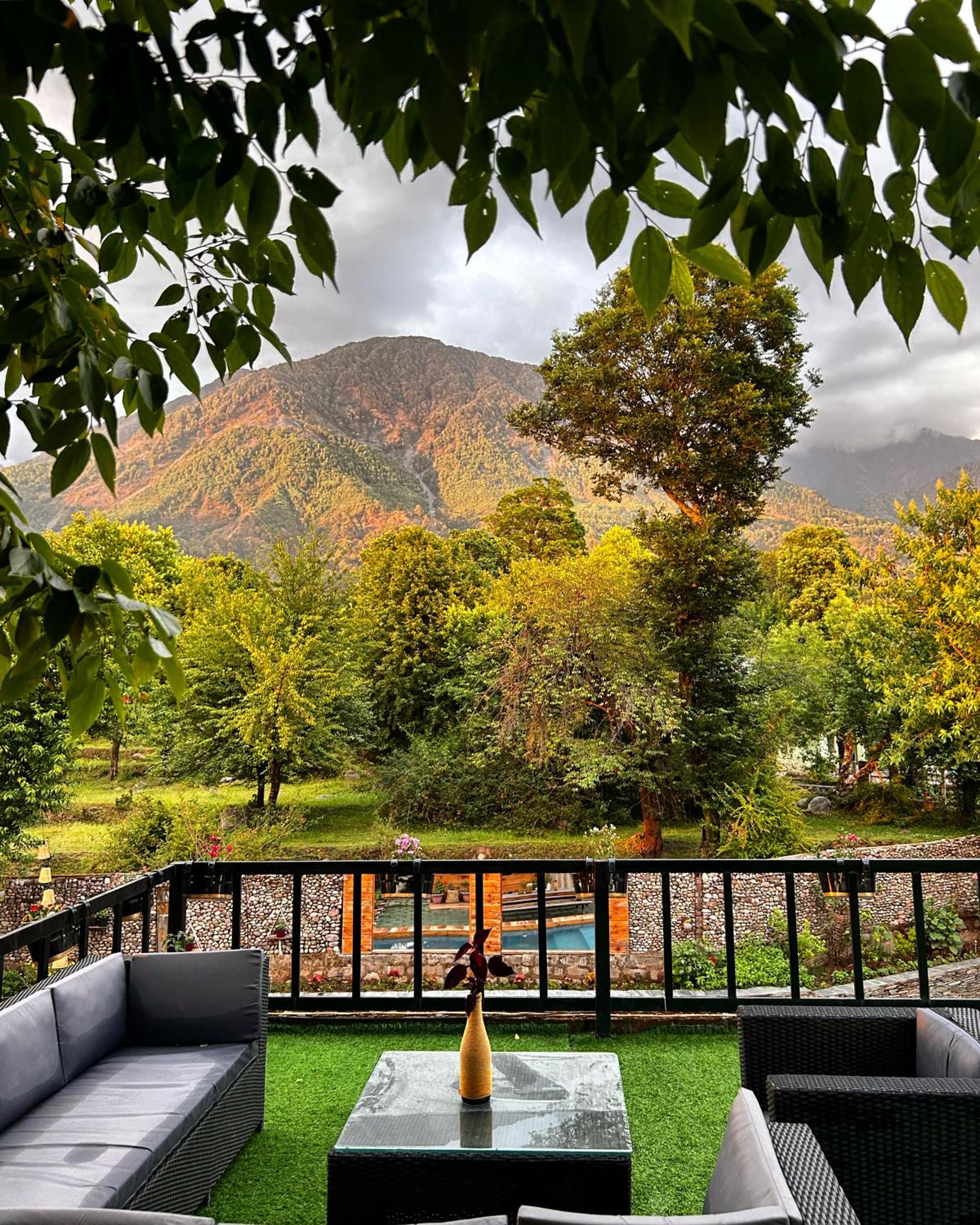 The Cabin Dharamshala