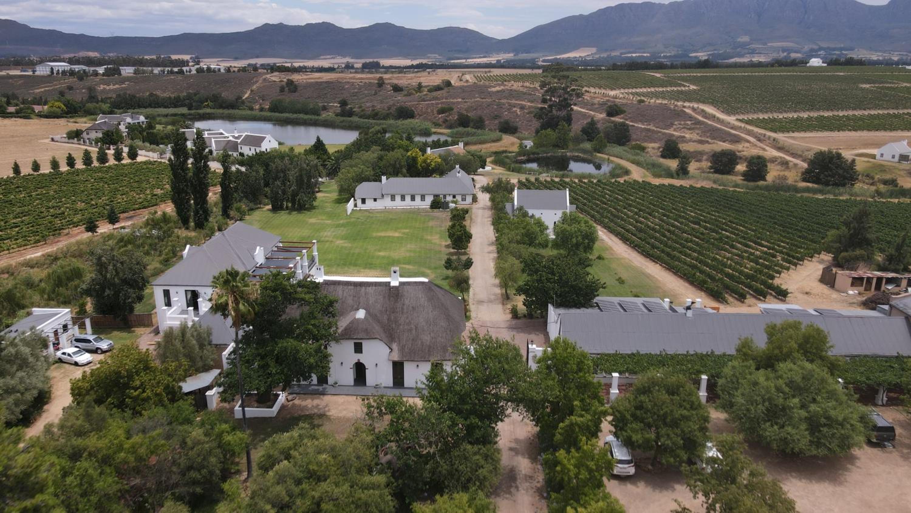 Manley Wine Estate