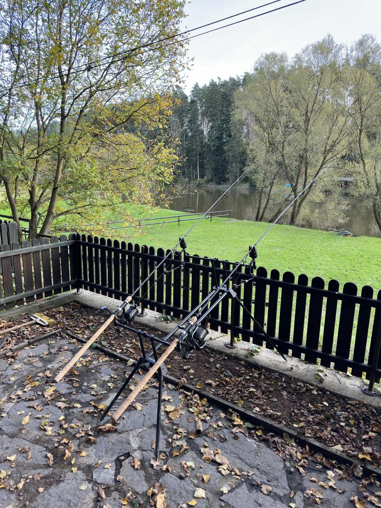 Rybaření ze sauny