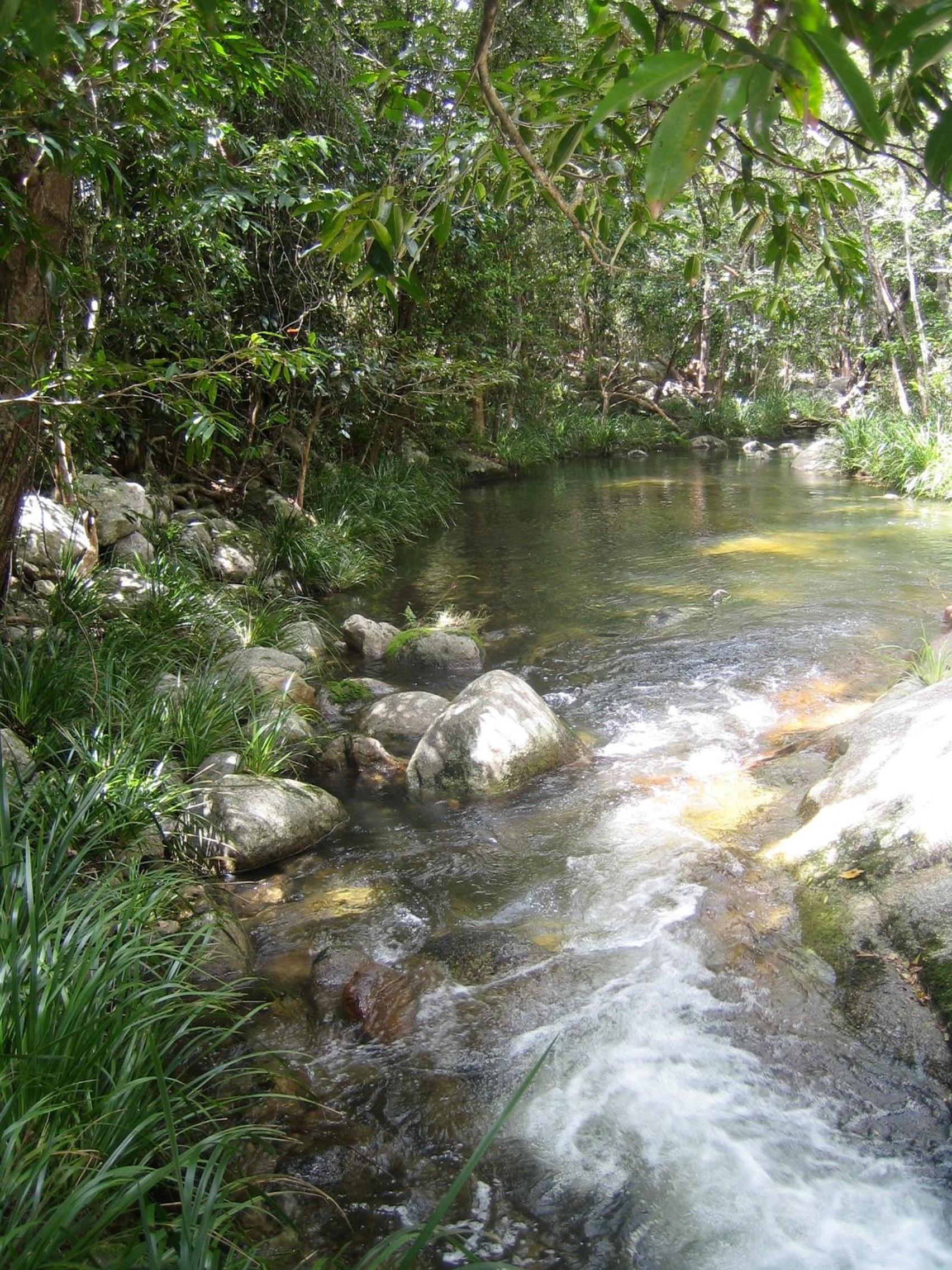 Photo 24