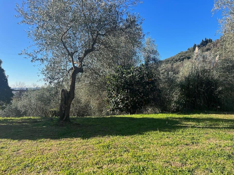 Stillvolles Landhaus zwischen Lucca und Versilia