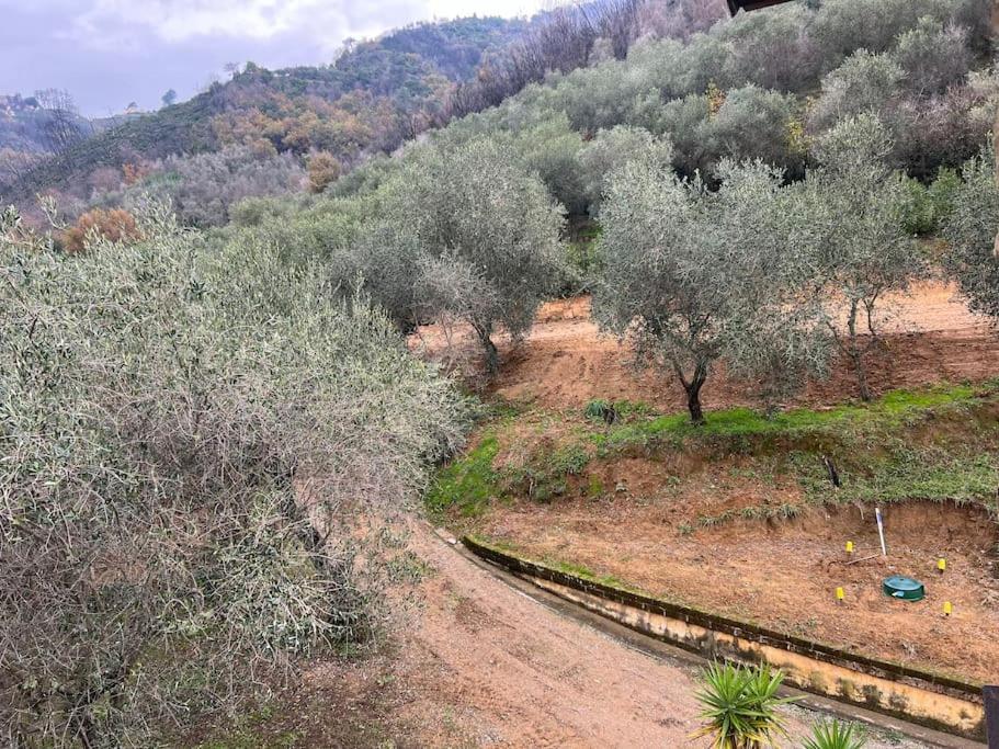 Stillvolles Landhaus zwischen Lucca und Versilia