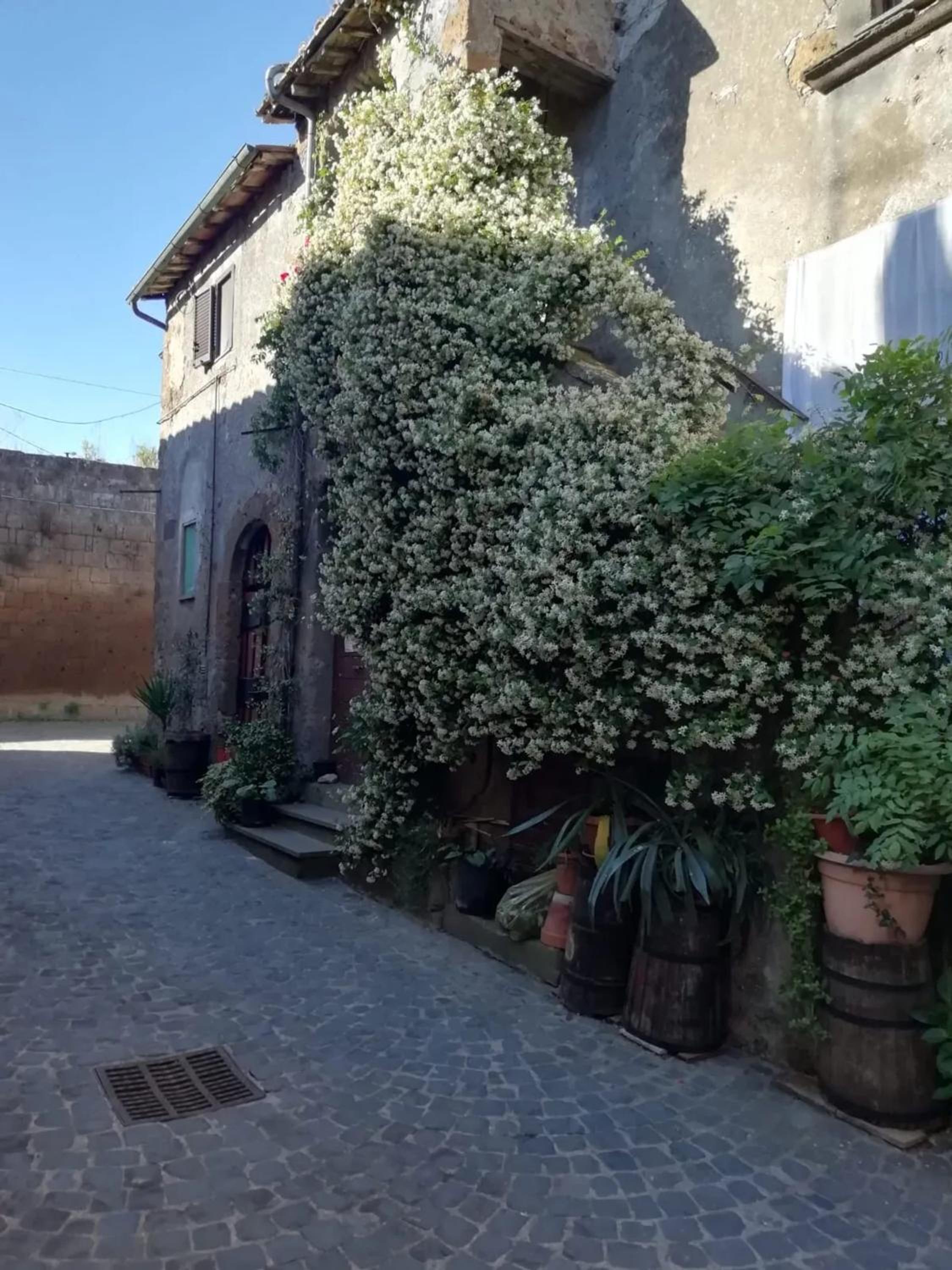 Charming House in Barbarano Romano with Terrace and Fireplace view 5
