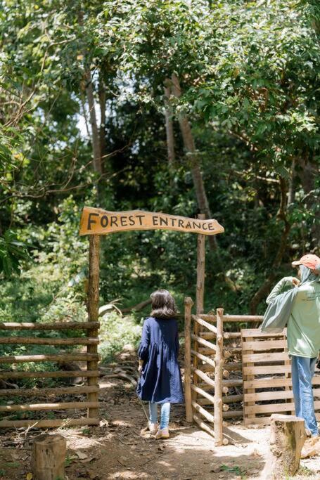 Forest Family Retreat