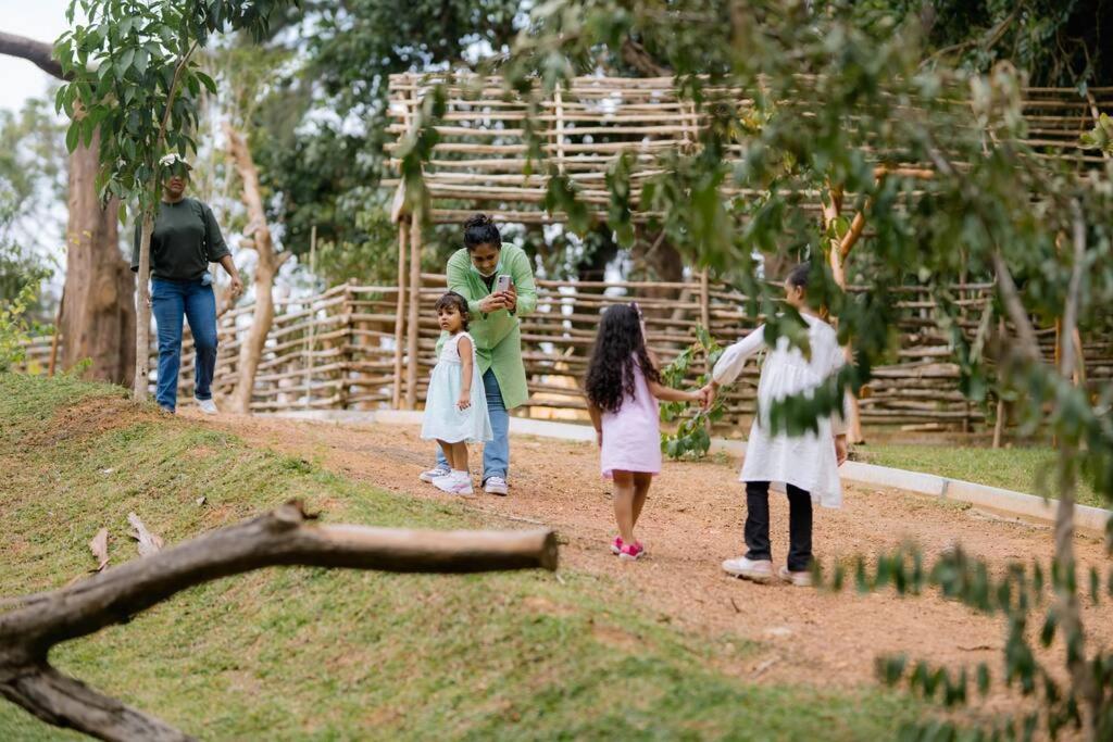Forest Family Retreat