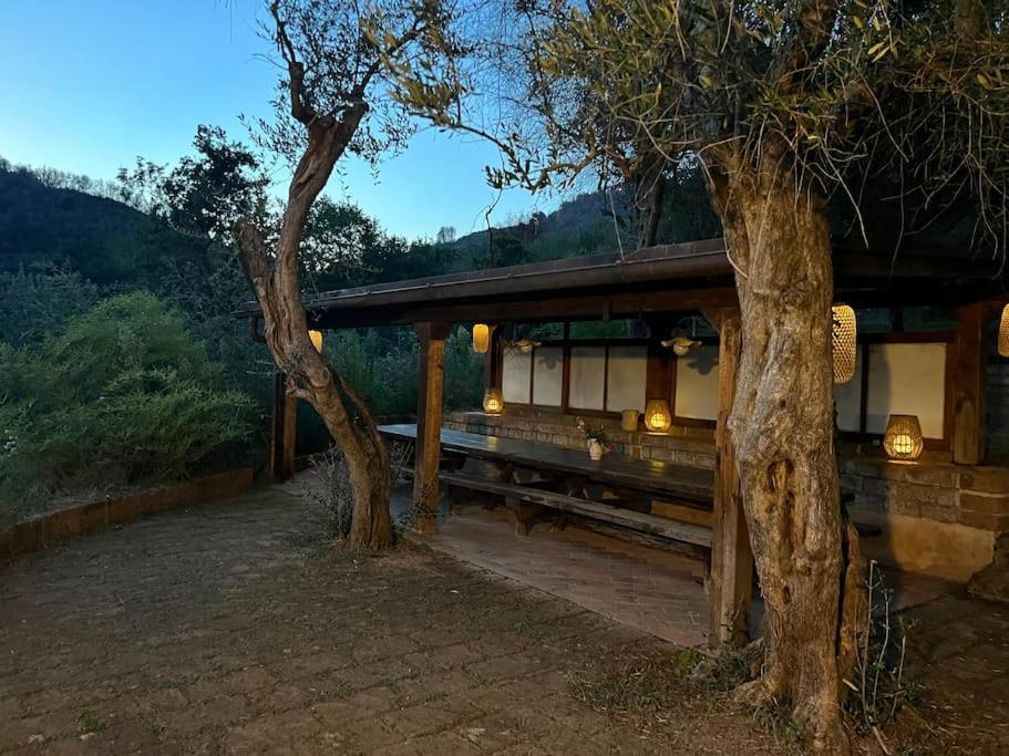 Stillvolles Landhaus zwischen Lucca und Versilia