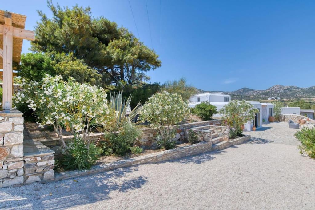 Stone Pine House Antiparos - Private Pool Villa view 2