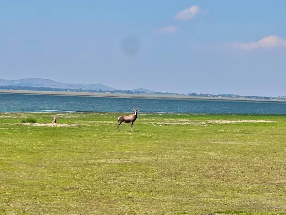 Vaal Dam Waterfront Holiday Home