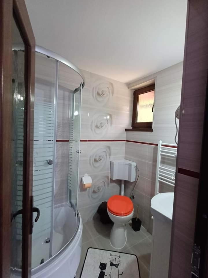 Cabana Acasa la Delia view 5