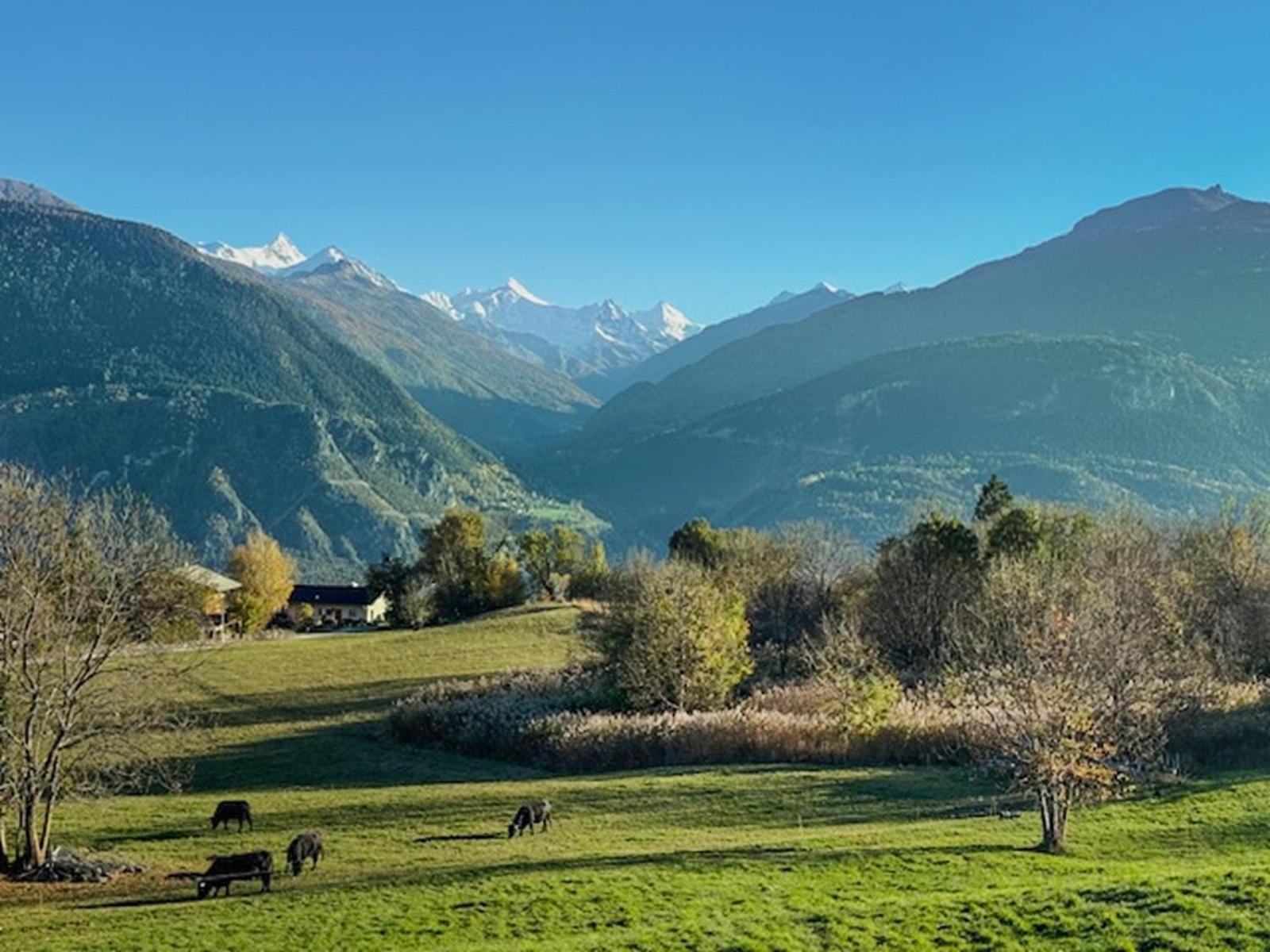Sunny Lily facing the swiss Alps - Crans Montana