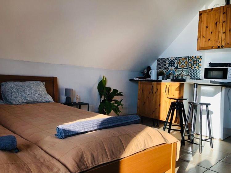 Repülőhal Apartmanház