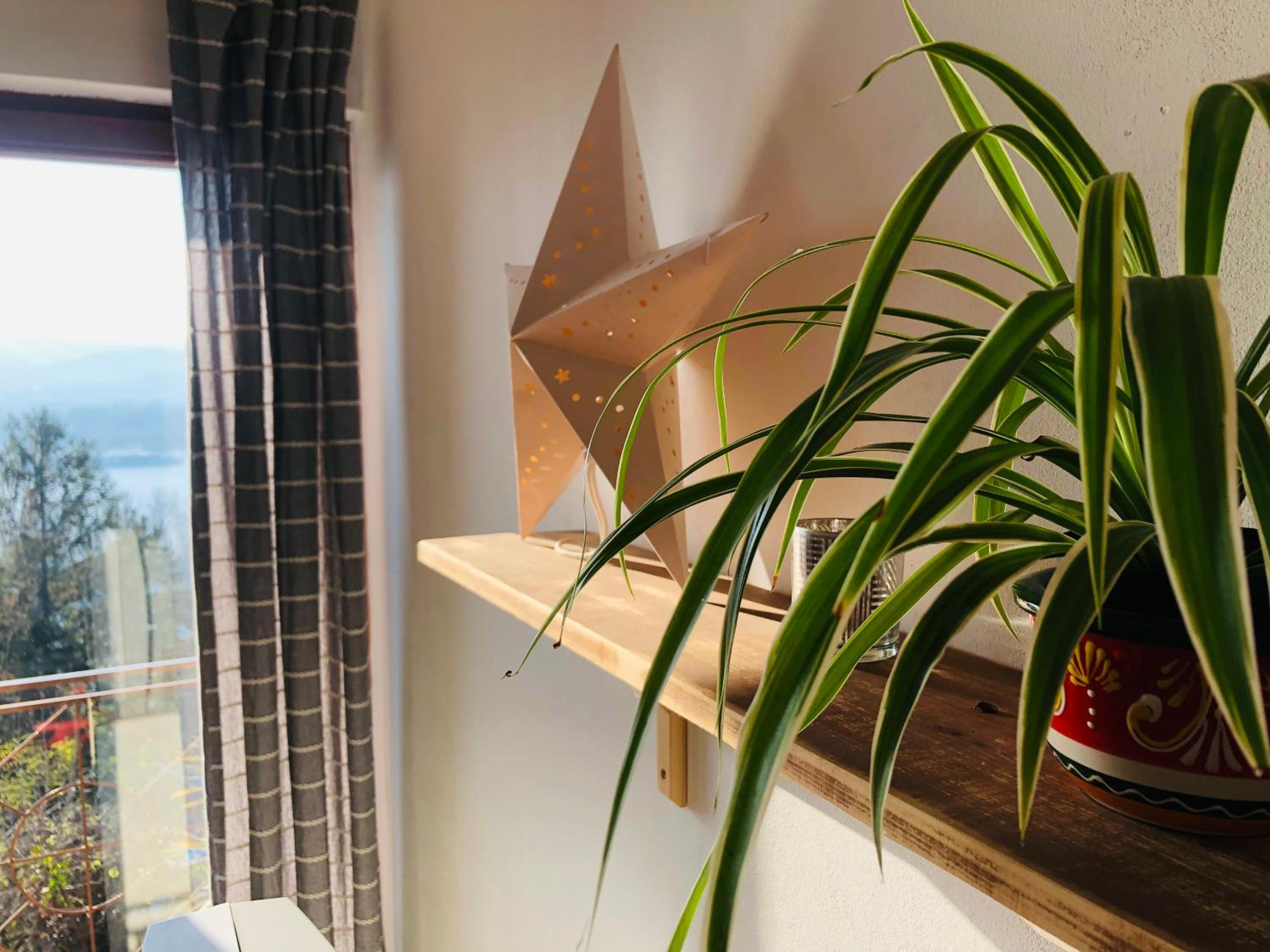 Repülőhal Apartmanház