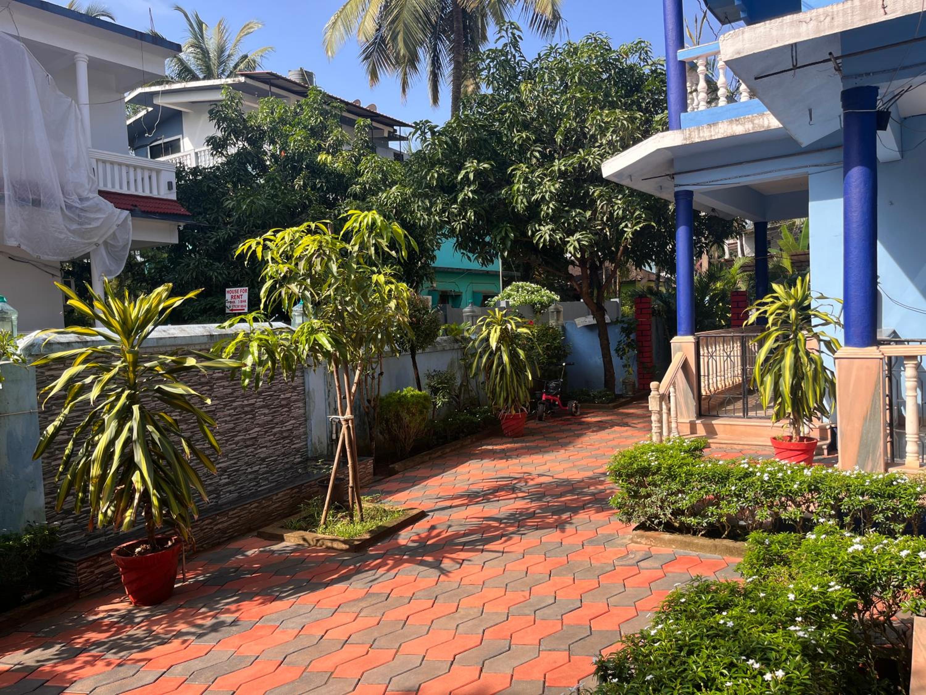 Shamba's Blue House- Morjim Turtle Beach view 5
