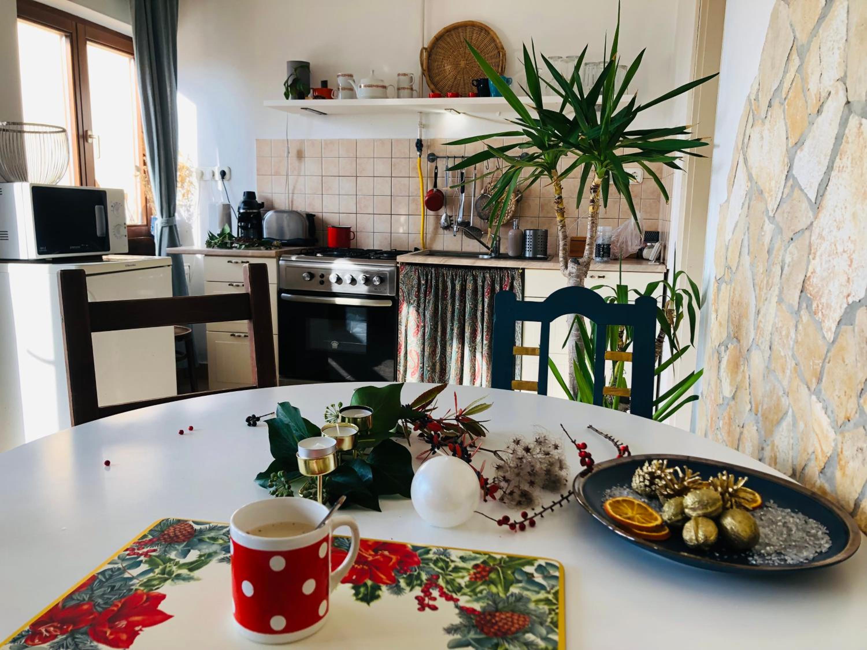 Repülőhal Apartmanház