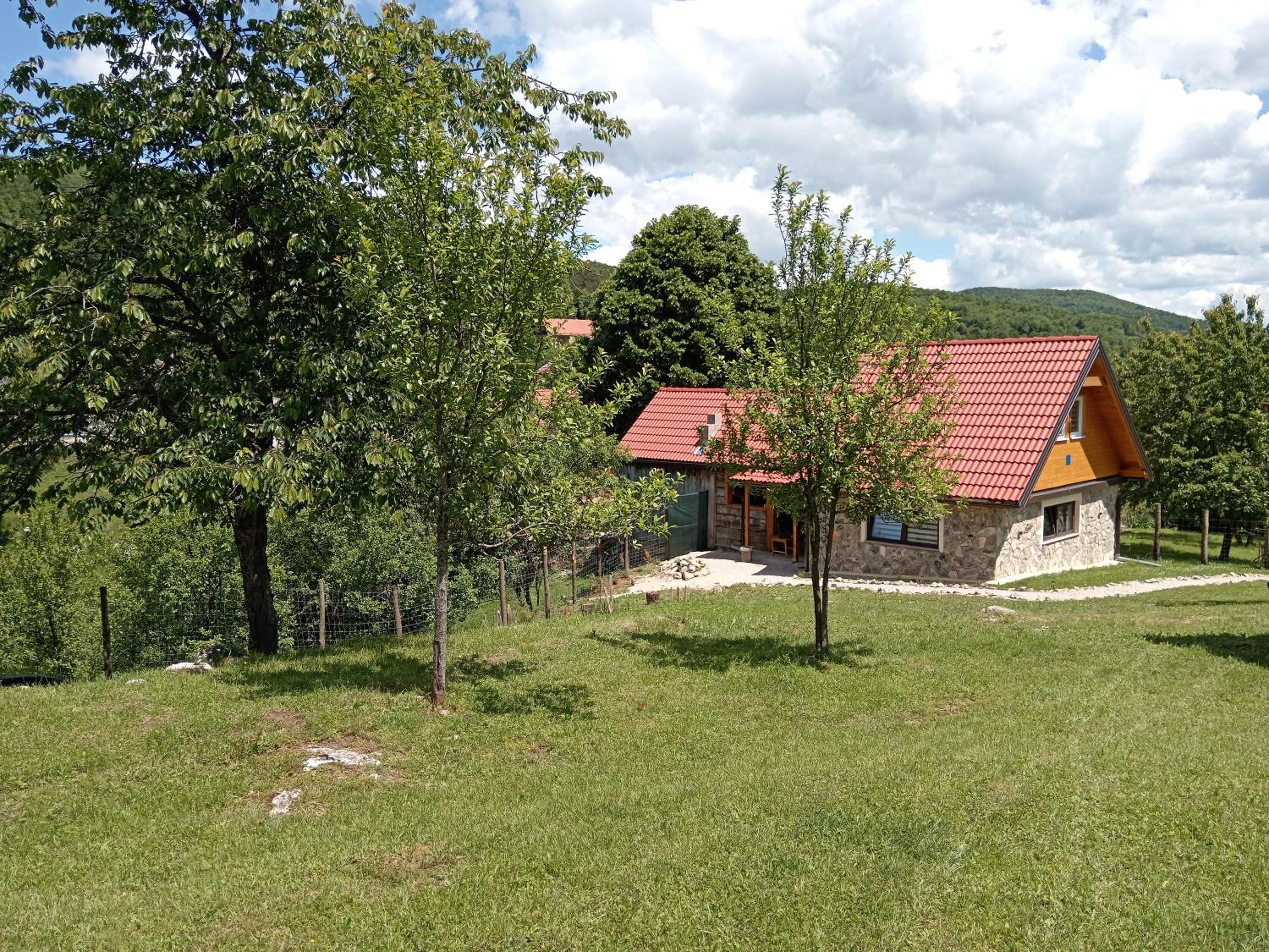 Kuća za odmor Dangubica view 3