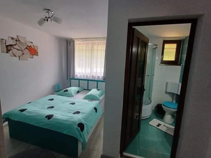 Cabana Acasa la Delia view 4