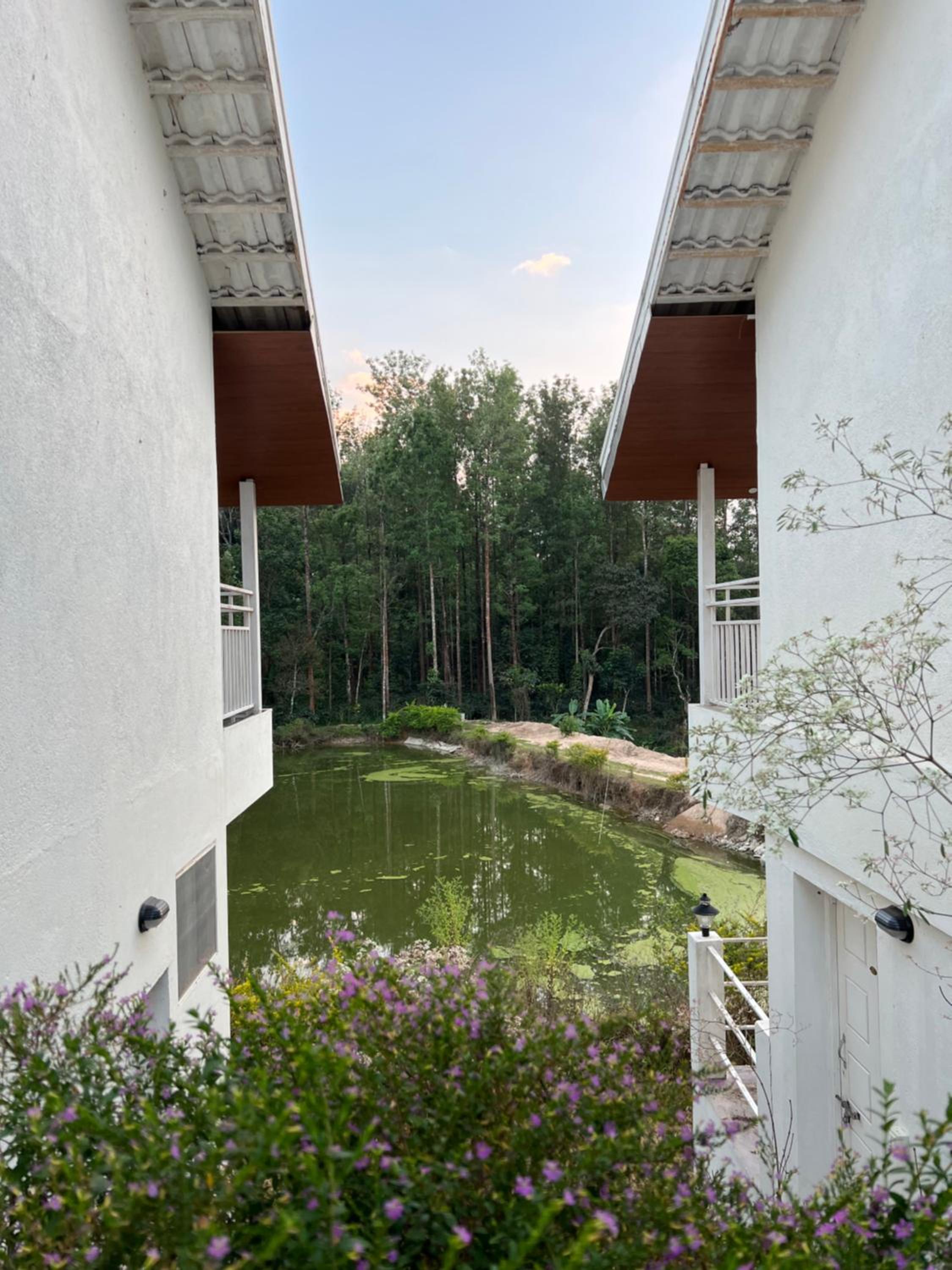 Chola Lakeview Cottages