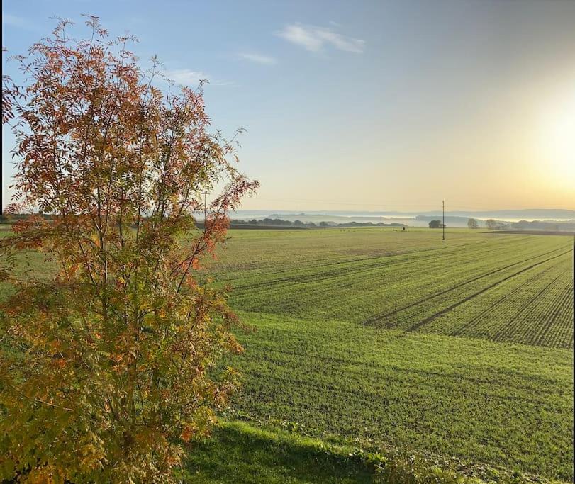 Schöne Fewo in Röttbach