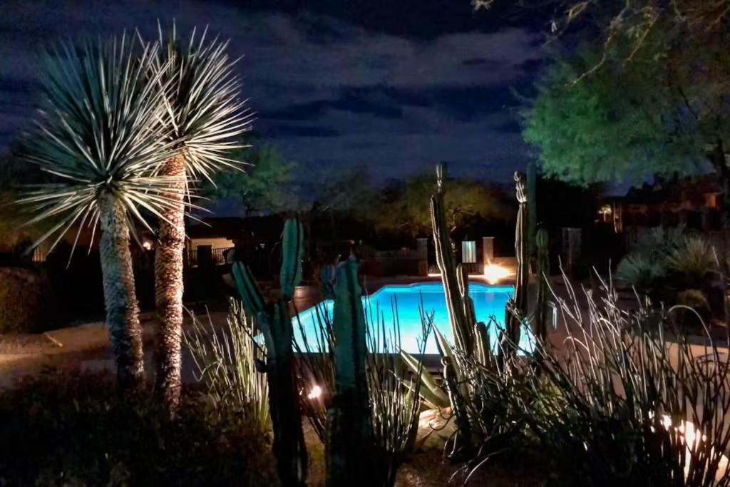 The Nest in Ventana Canyon