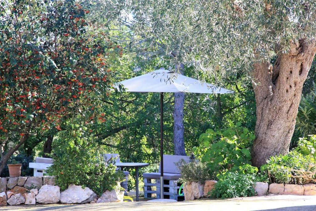 Preciosa Finca rústica con piscina privada