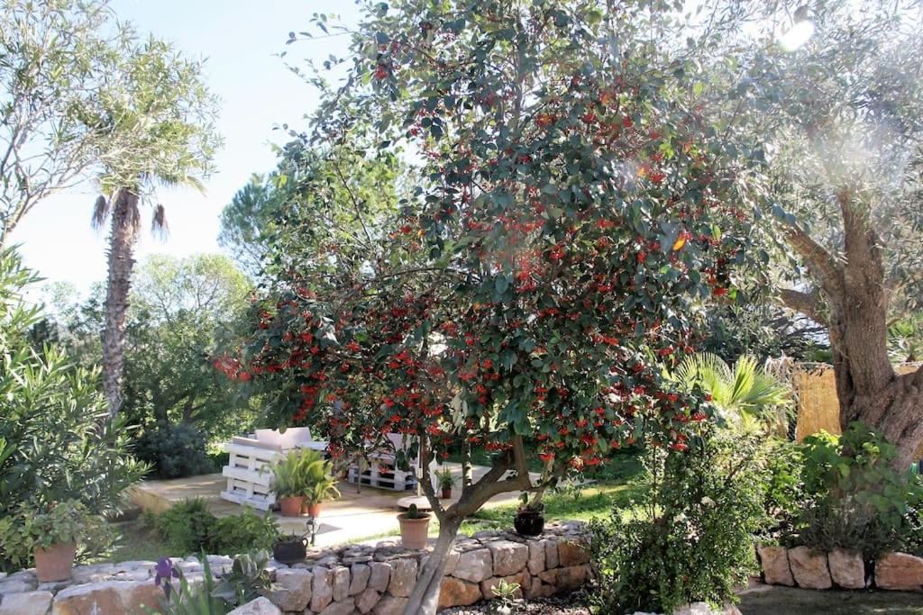 Preciosa Finca rústica con piscina privada