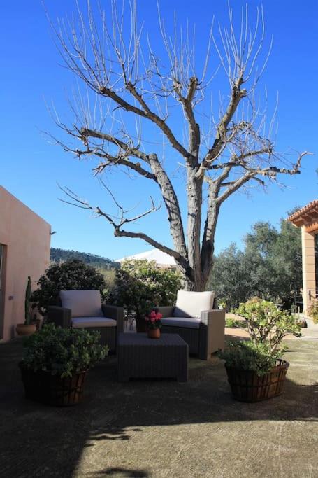 Preciosa Finca rústica con piscina privada