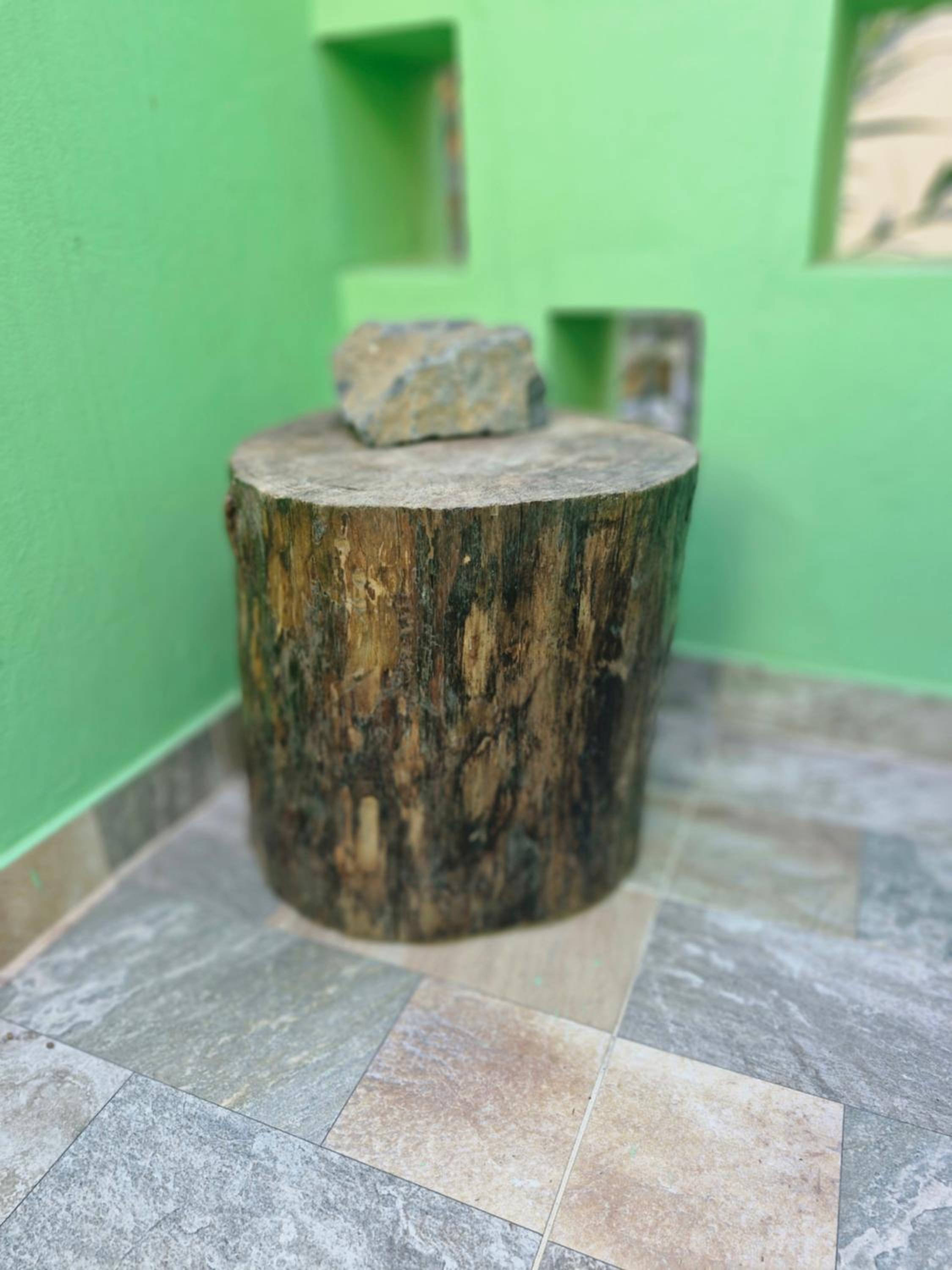 Casa Medina