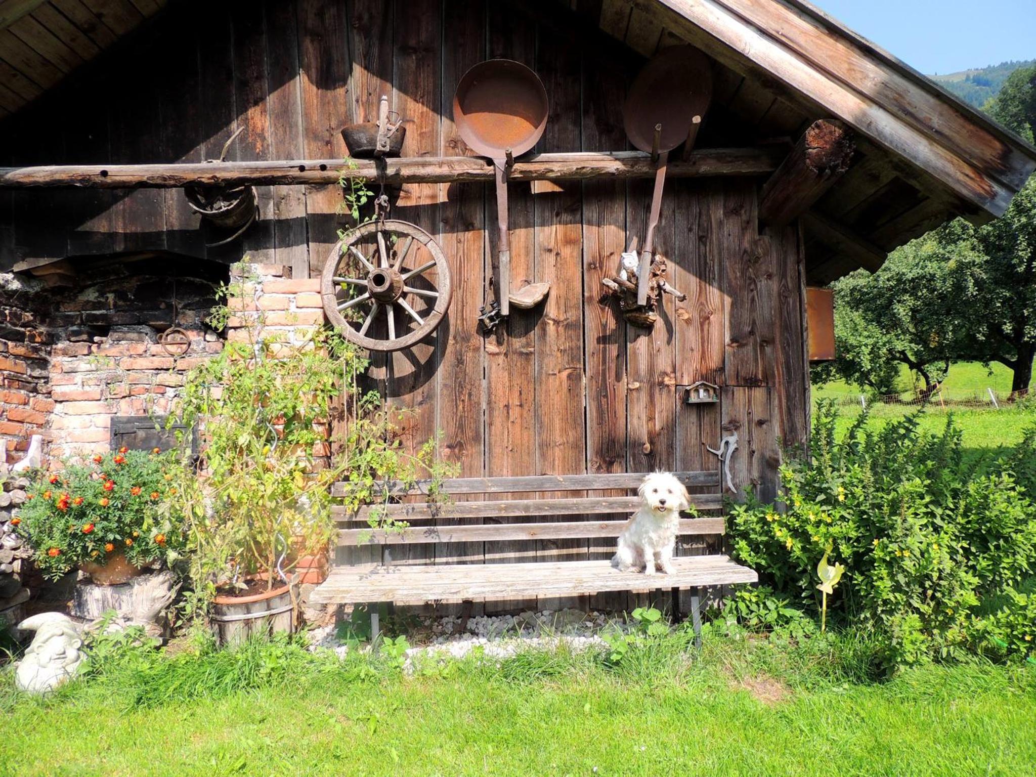 Pension Forsthof