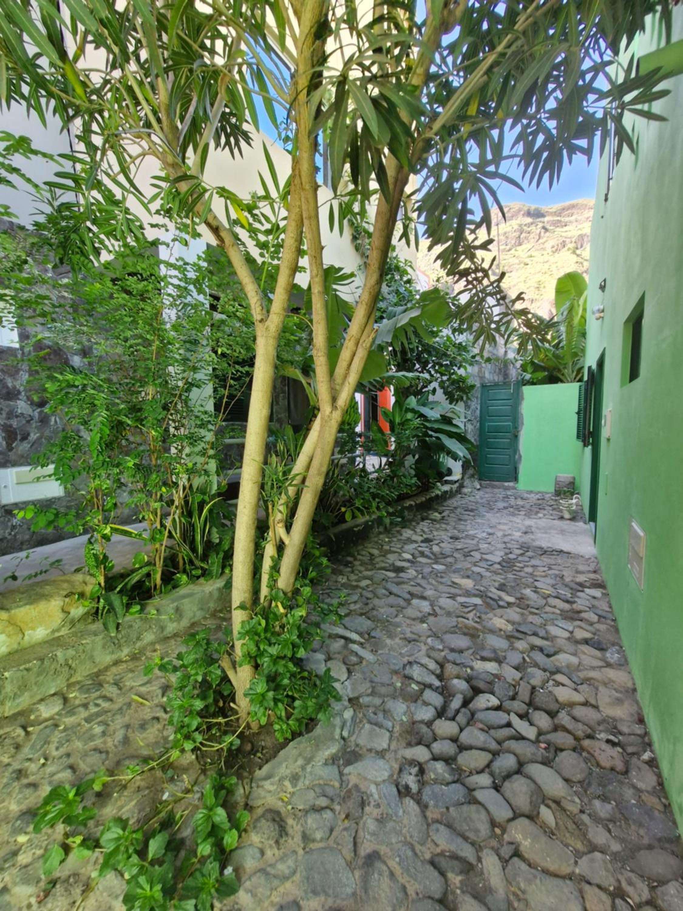 Casa Medina