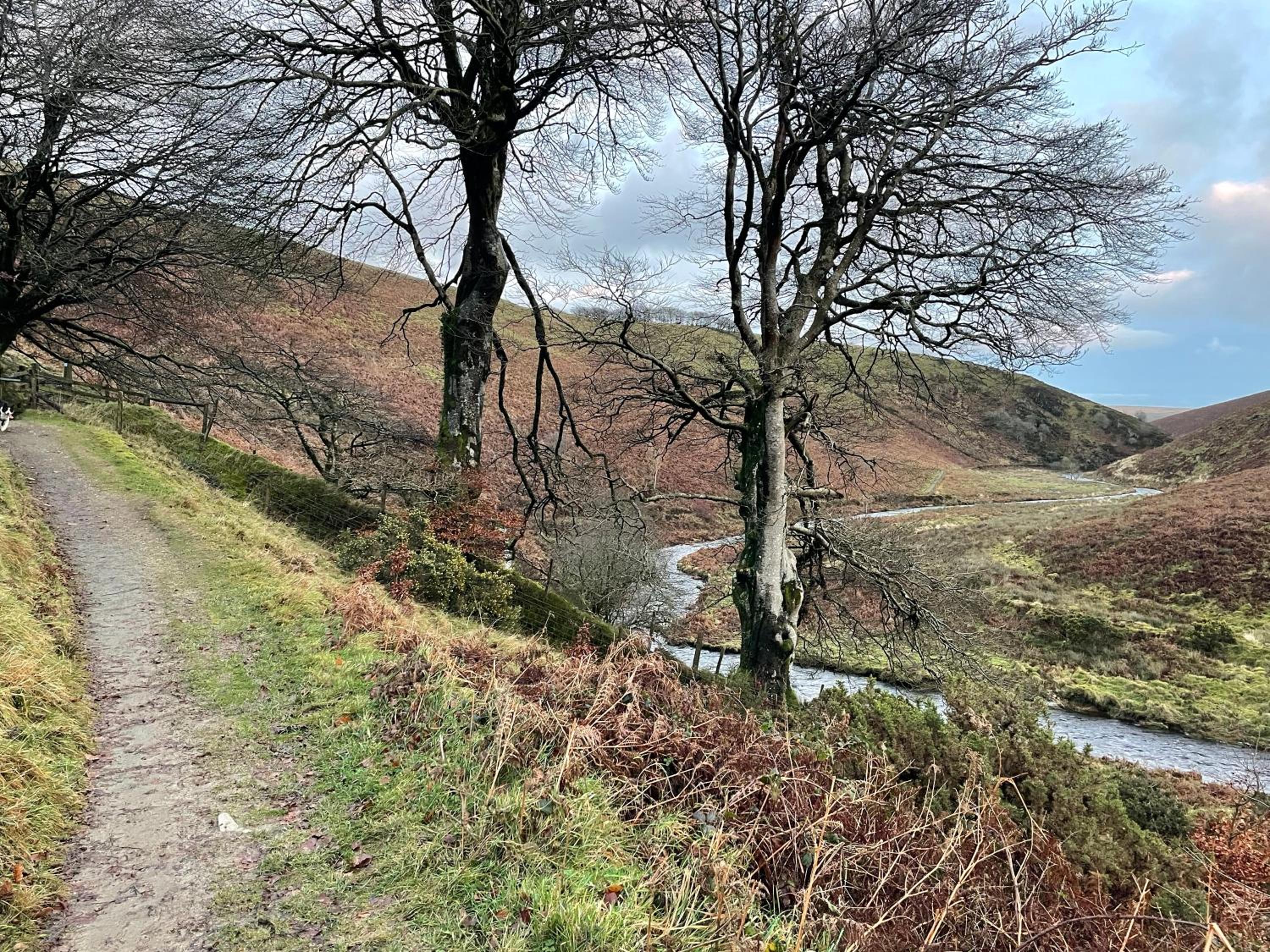 Winstitchen Cottage situated near the River Barle