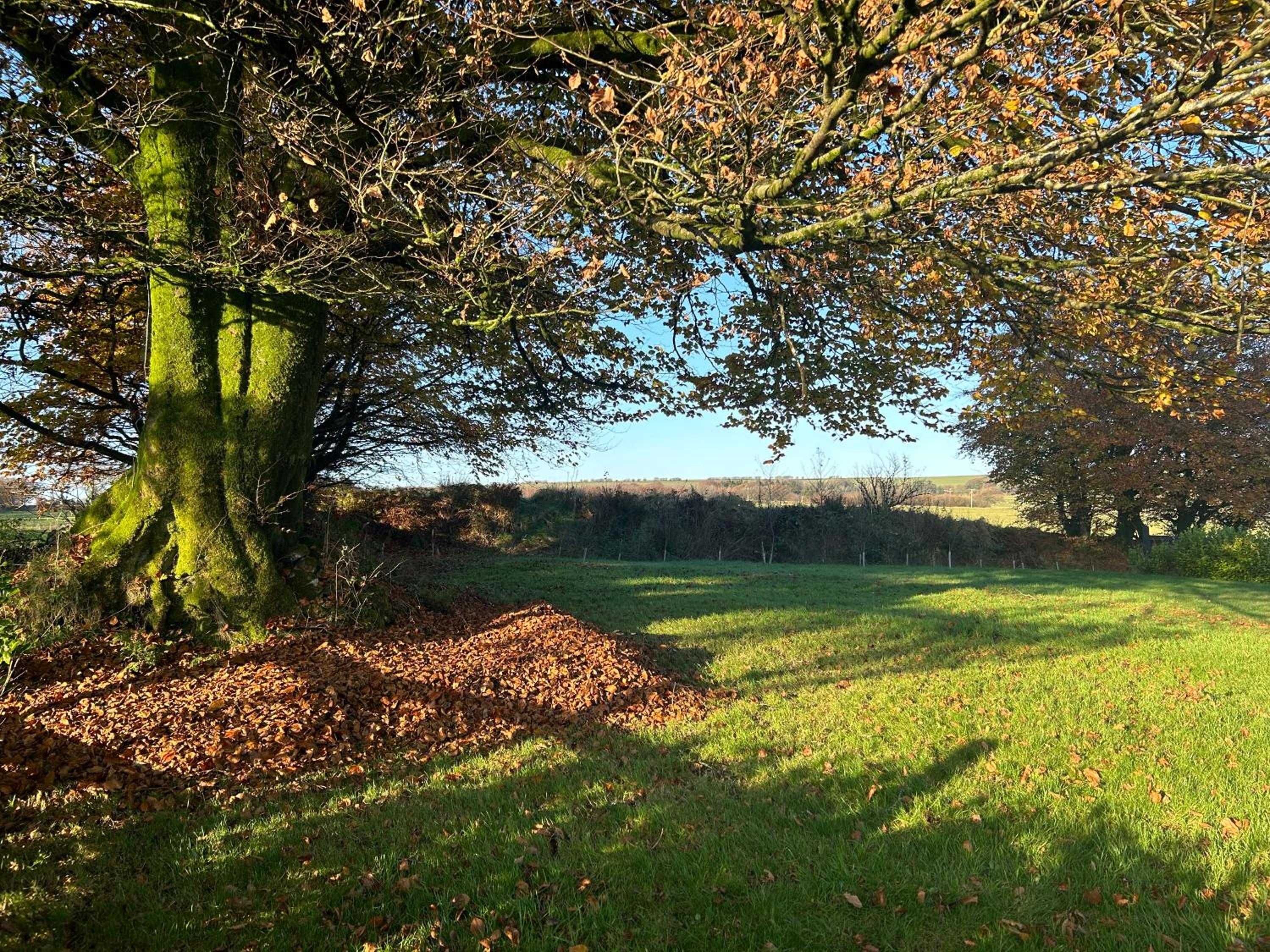 Winstitchen Cottage situated near the River Barle
