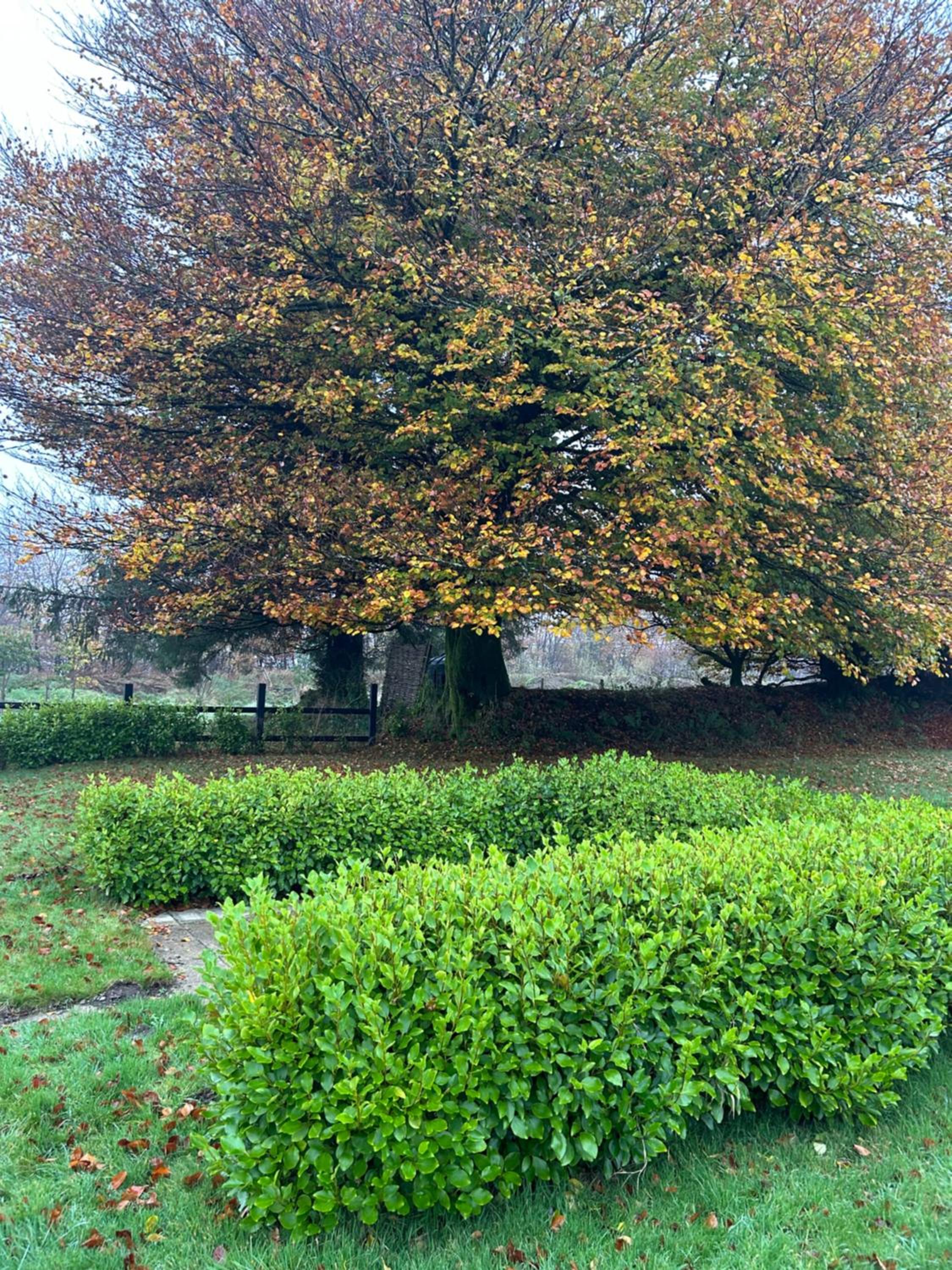 Winstitchen Cottage situated near the River Barle