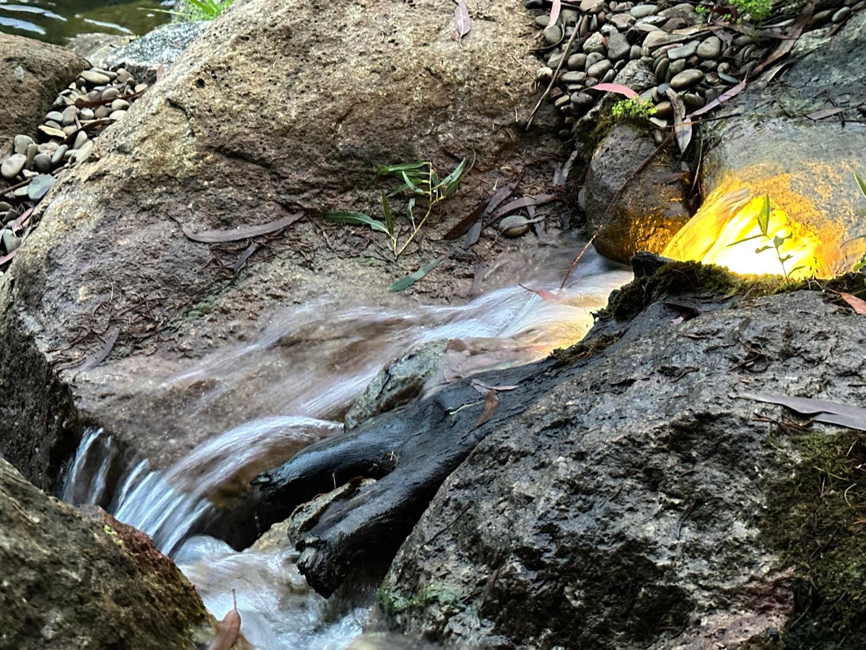 Olinda Cascade Waterfall Mountain View Retreat