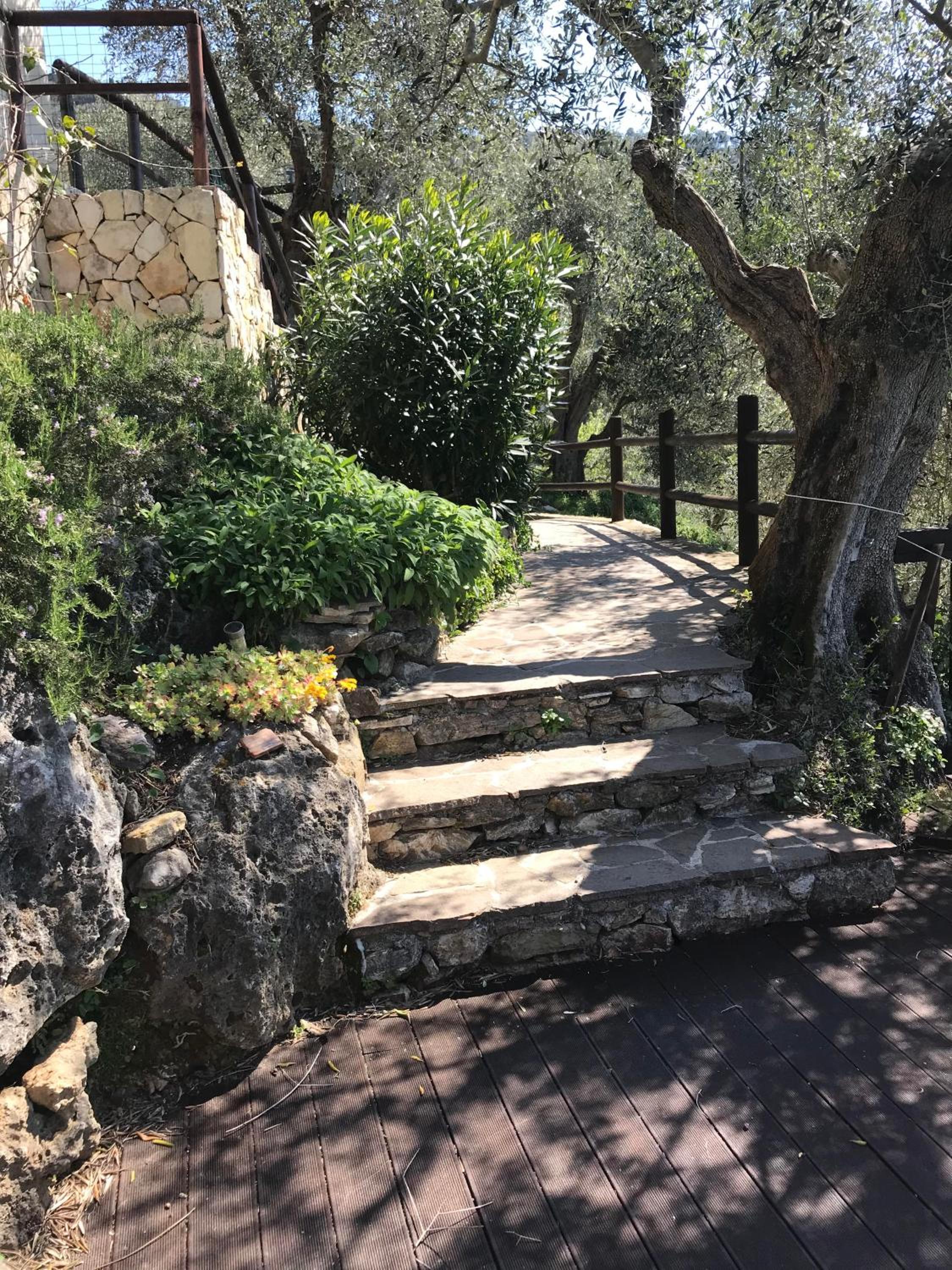 La Lucertola