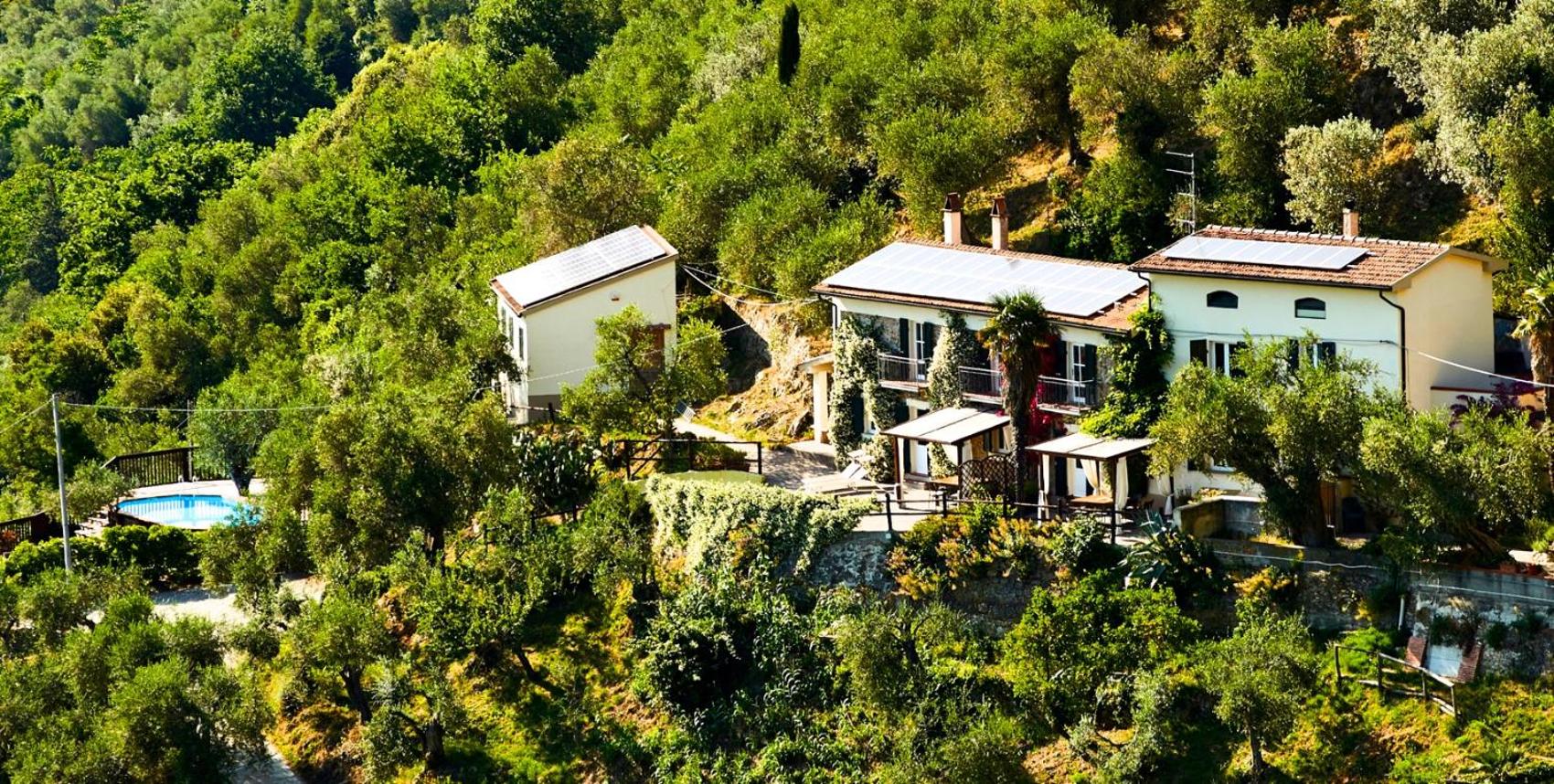 La Lucertola