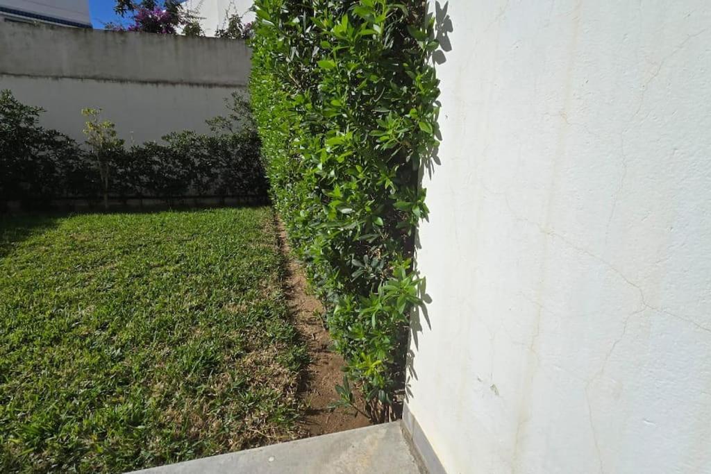 Hammamet Vacations - Appartement le pacha - Property Image 5