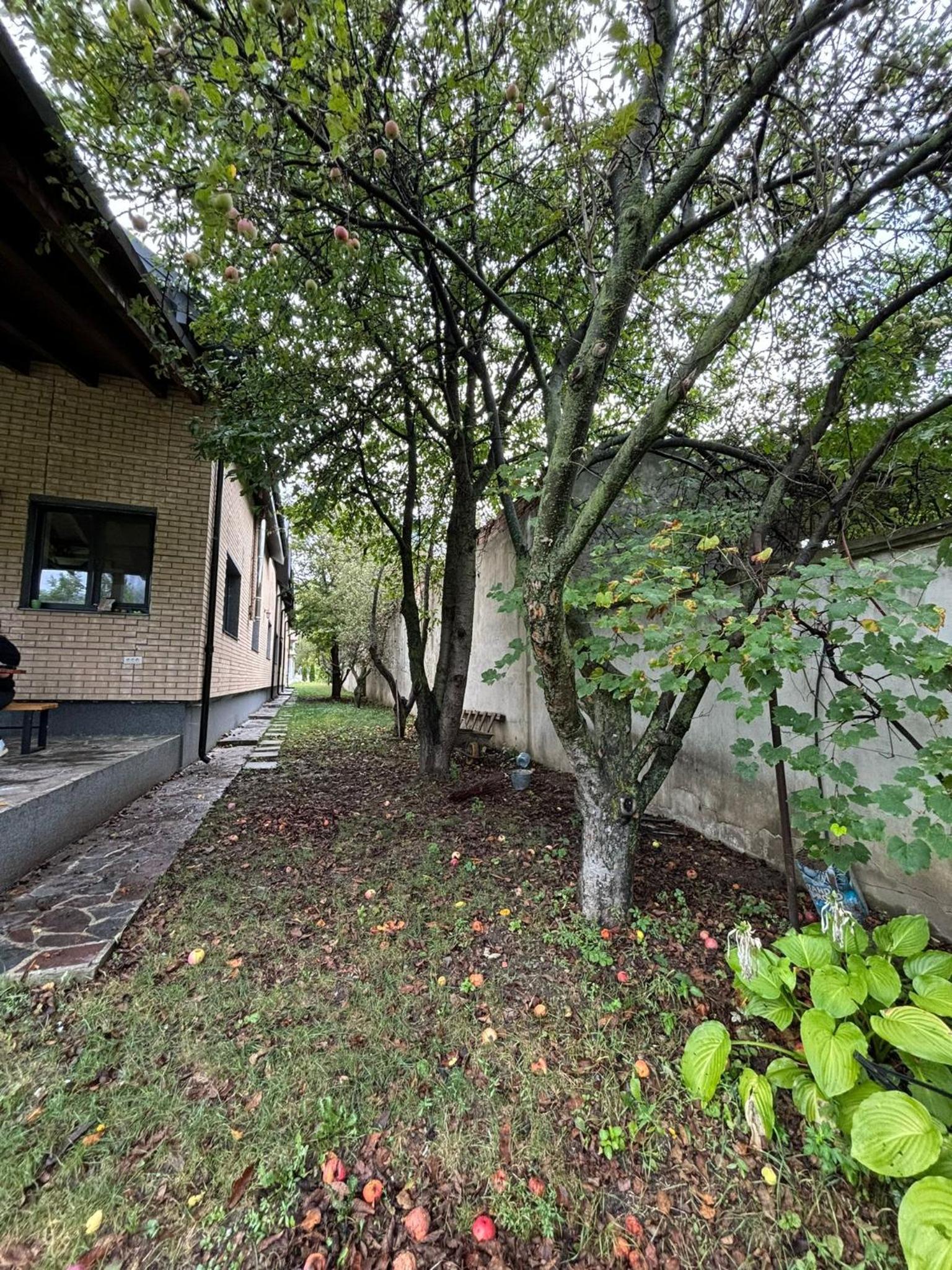 Chalet Odette view 3